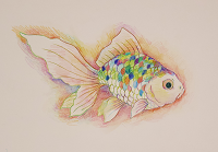 日本画家ツジモトコウキとカラフル水彩色鉛筆画を描こう